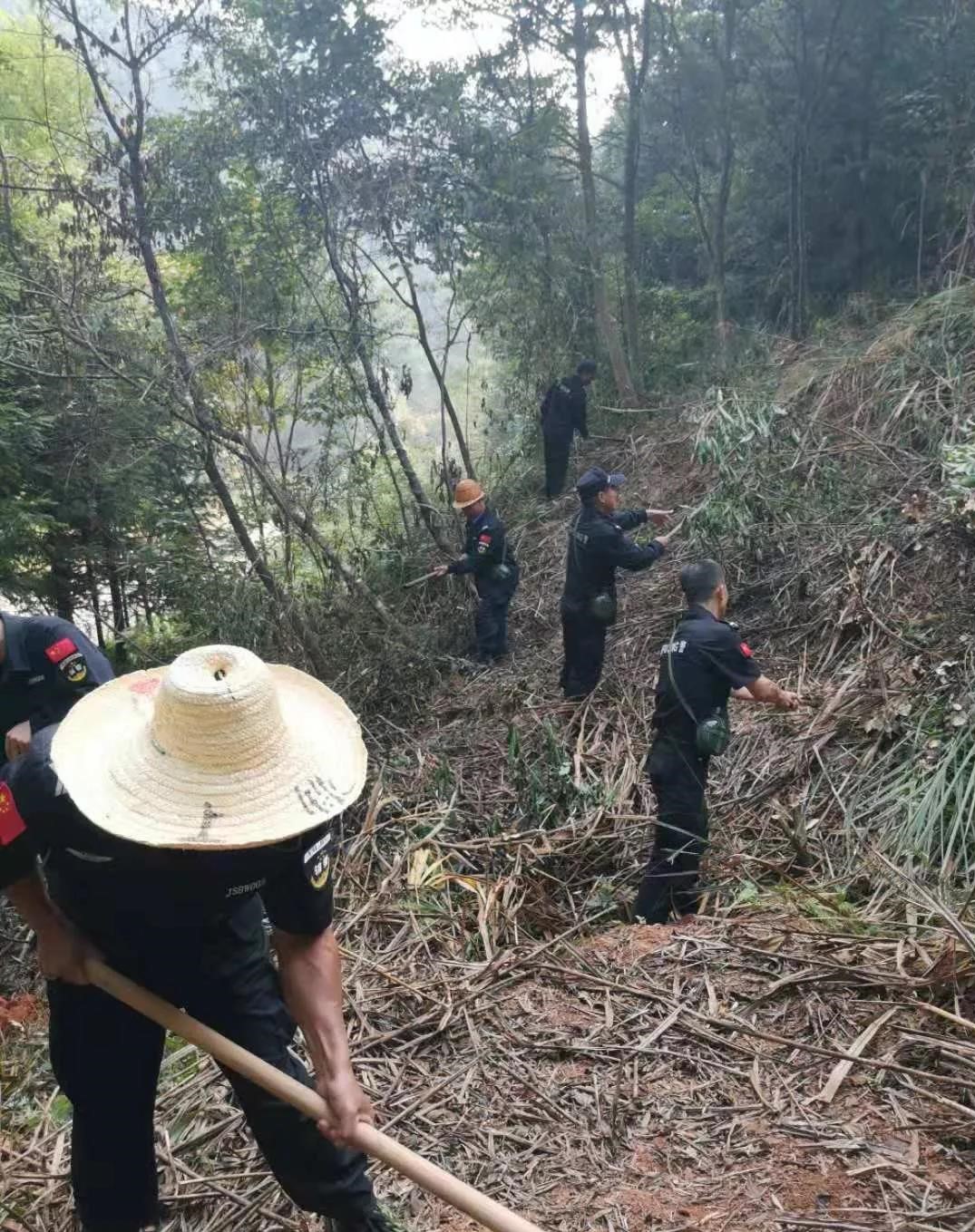 干好每一天|青山掛白我復(fù)綠，無私奉獻(xiàn)金森人——資源保護(hù)部義務(wù)突擊隊(duì)工作記實(shí)