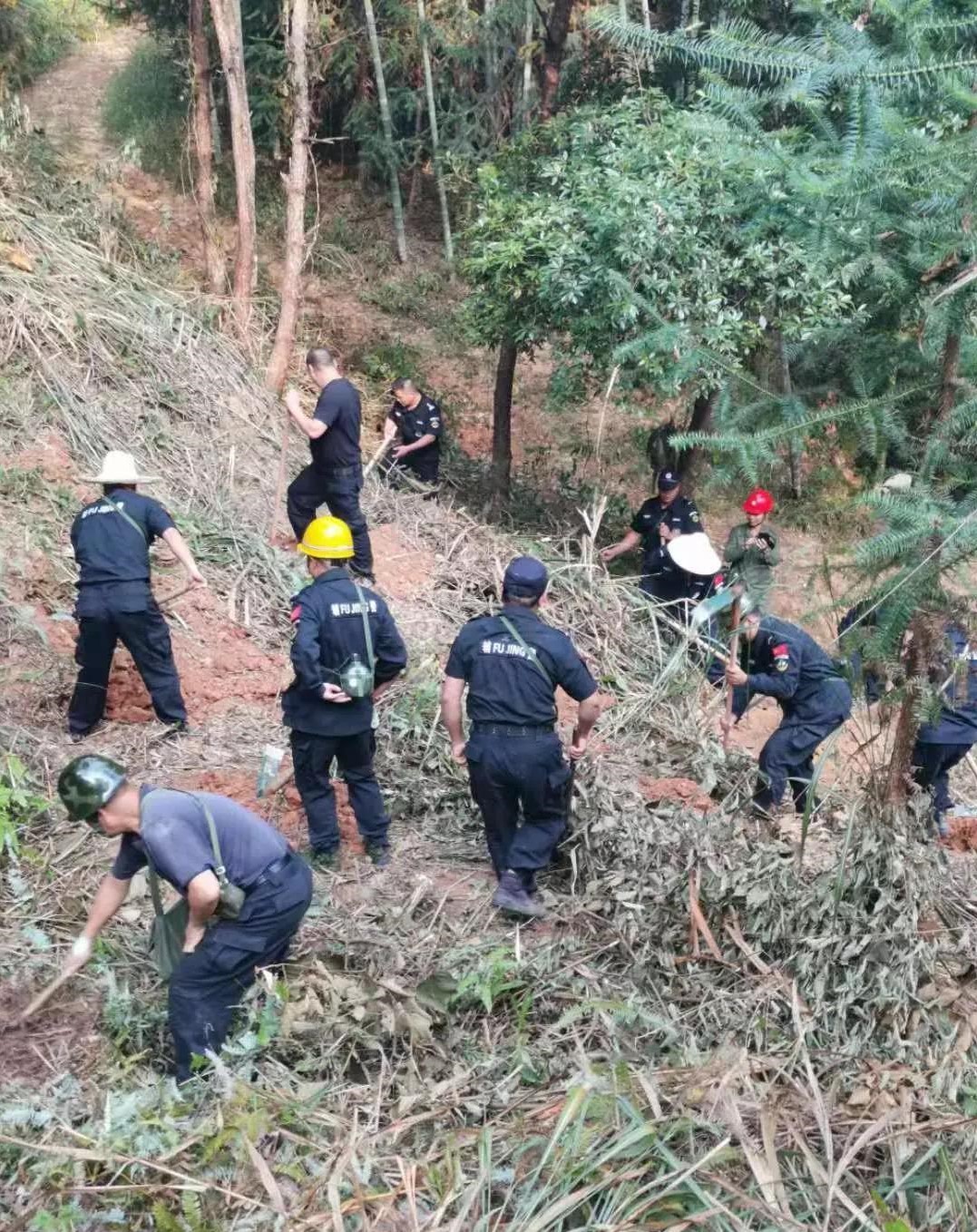 干好每一天|青山掛白我復(fù)綠，無私奉獻(xiàn)金森人——資源保護(hù)部義務(wù)突擊隊(duì)工作記實(shí)