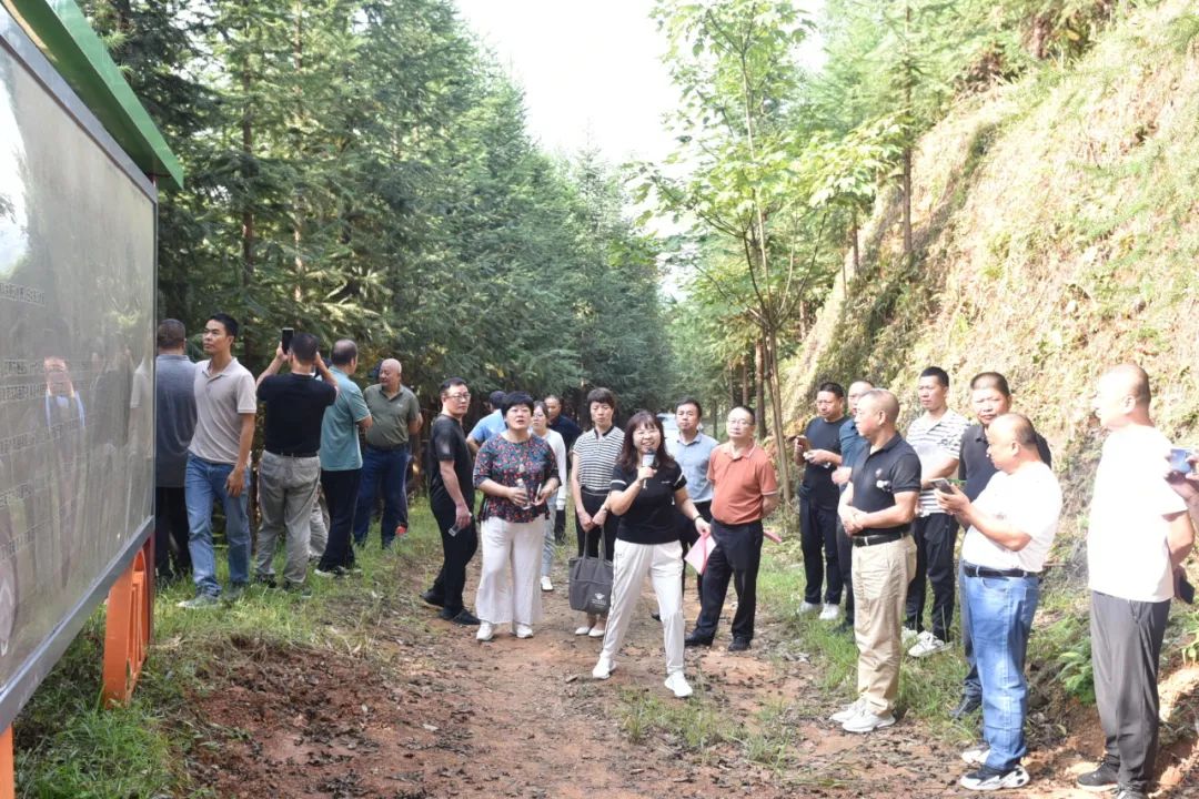 琵琶丘工區(qū)：三明市森林質量精準提升工程業(yè)務培訓現場示范