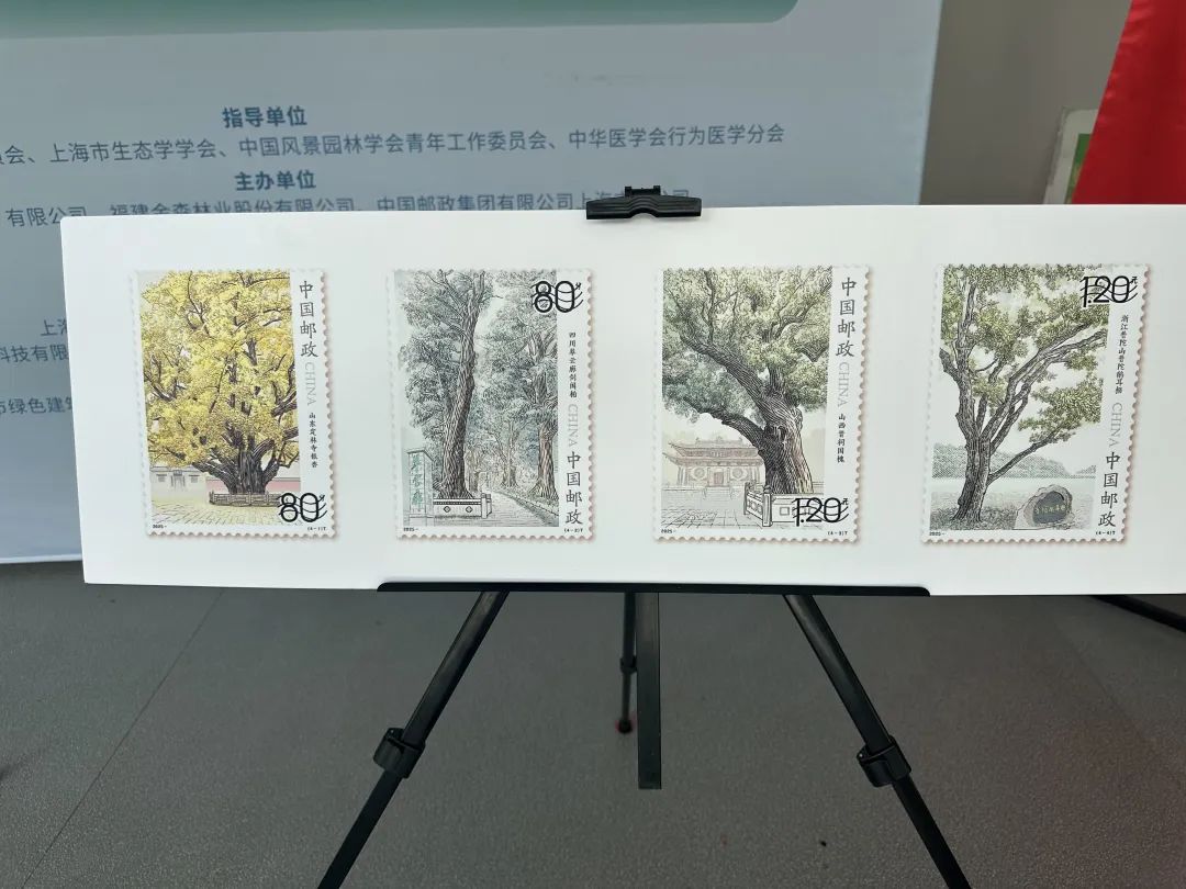 全國(guó)生態(tài)日來(lái)了！福建金森攜手舉辦上?！吧胶Ｍ铡ば雍糜心恪被顒?dòng)
